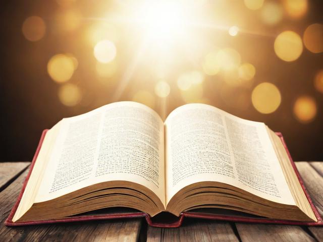 书籍排名网站，引领阅读潮流，助力书香生活