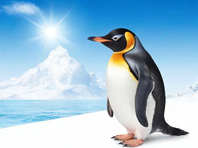 企鹅号网站权重排名查询，全面解析如何提升企鹅号影响力与搜索排名