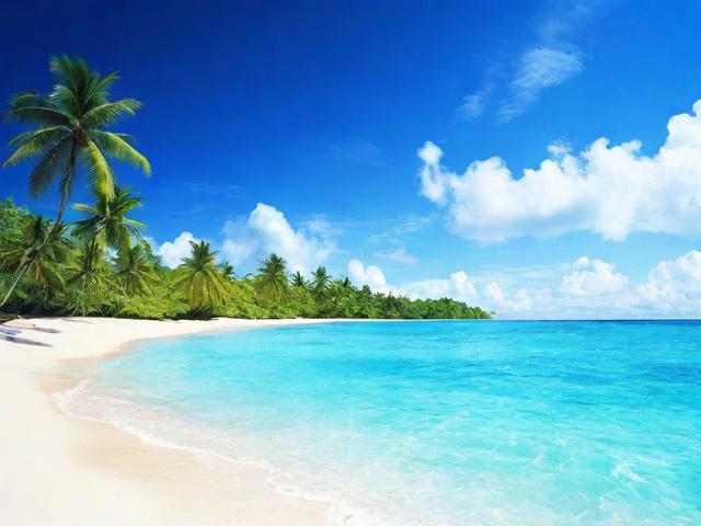 海南软件推广网站排名，助力企业抢占市场先机