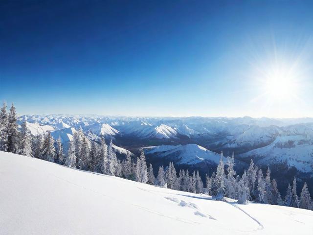 吉林网站优化关键词排名，提升网站流量，助力企业腾飞