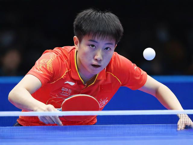 乒乓球球员排名查询网站，便捷了解世界乒坛风云变幻