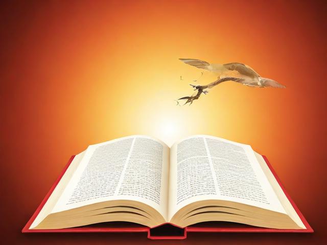 揭秘知识点电子书网站排名，如何找到最适合您的学习资源