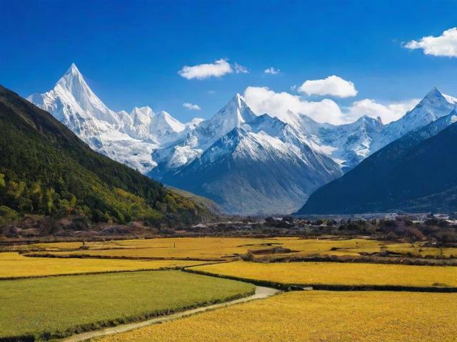 四川网站关键词推广排名，提升网站流量，助力企业腾飞