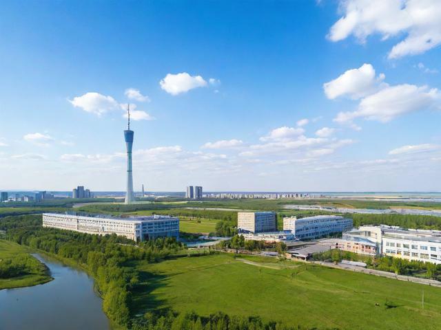 黑龙江网站优化排名价格解析，如何选择性价比高的优化服务