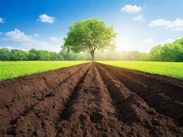 土壤专业网站排名，揭秘行业领先平台，助力土壤科学研究者