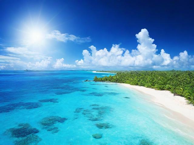 海南省网站优化厂商排名，揭秘本土企业SEO实力榜