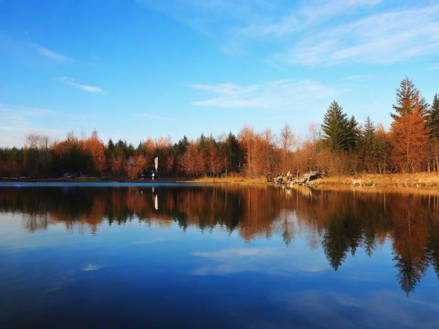 双鸭山网站维护收费的相关信息