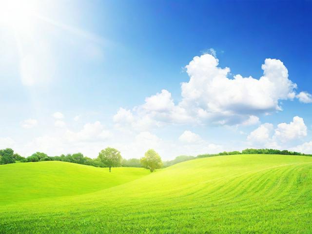 如何通过做竞价提升网站自然排名，双重策略助力SEO优化