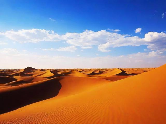 西北地区网站排名，揭秘网络影响力的新高地