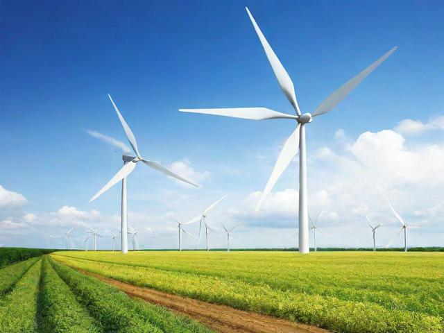 美国微能源网站排名，揭秘最受欢迎的在线能源信息平台