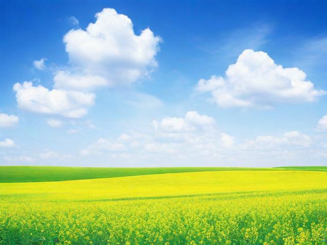 濮阳县网站优化价格排名，如何选择性价比高的服务