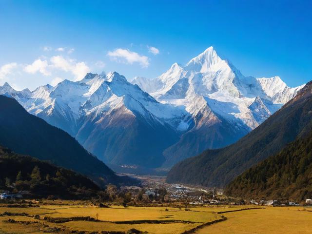 四川省网站排名优化工具，助力企业抢占网络市场制高点