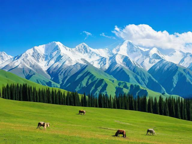 新疆地区网站排名分析，探索网络世界的地域之光