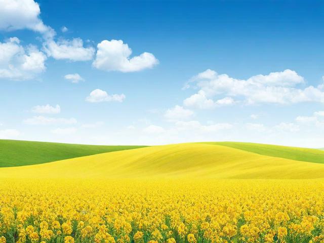 公众号图文制作网站排名，助力内容创作者提升效率与品质