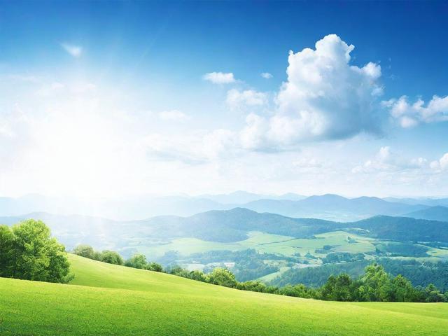 性价比之选，盘点当前最受欢迎的性价比高的教育网站排名