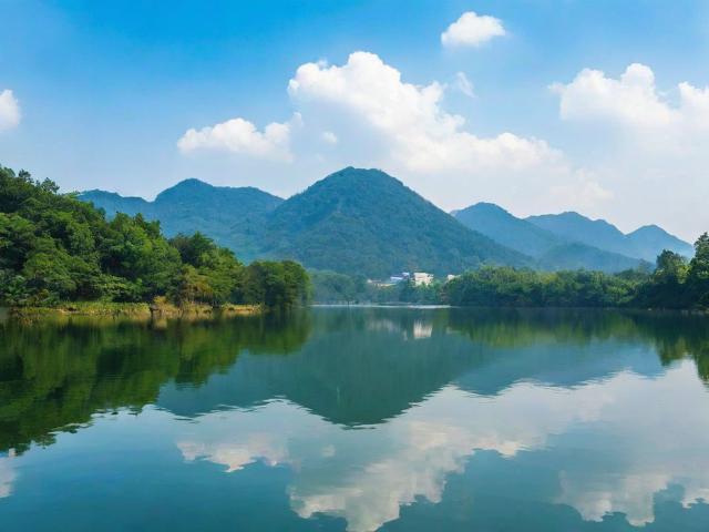 丽水网站优化企业排名，揭秘提升网站流量与口碑的秘诀