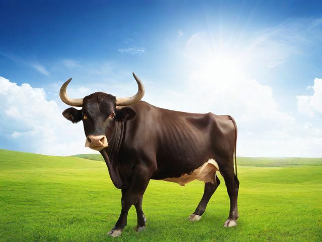 金牛区网站优化排名，揭秘提升网站流量与曝光度的秘诀