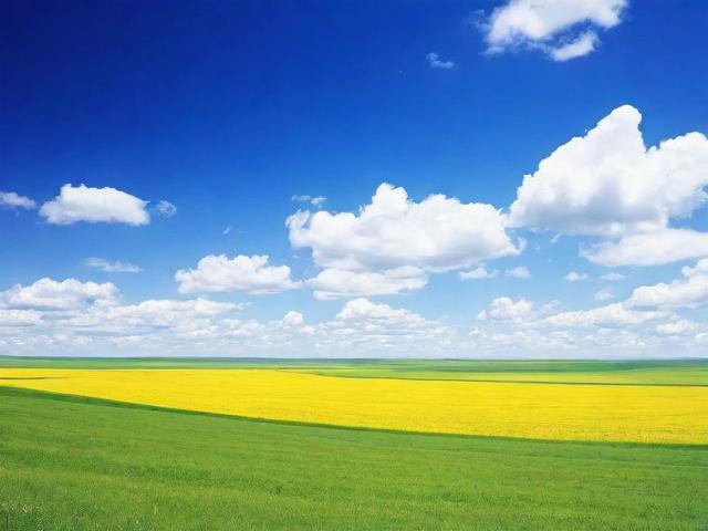 内蒙古网站排名优化企业，助力企业实现线上增长新突破