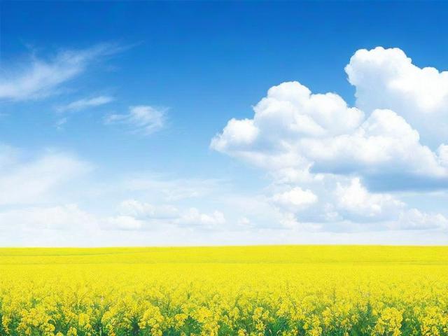 免费提供货源的网站排名，揭秘电商创业者的宝藏之地