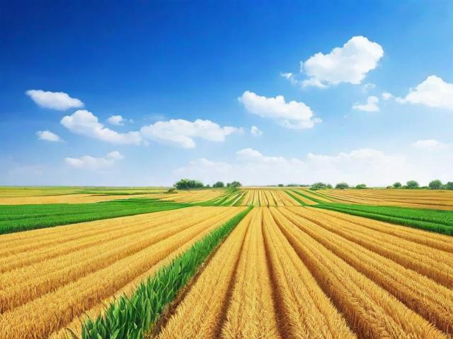 化肥购销网站排名，揭秘行业领先平台，助力农业发展