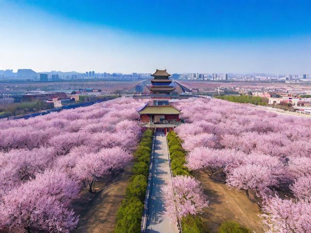 杏花岭区智能化网站排名，揭秘区域网站建设的佼佼者