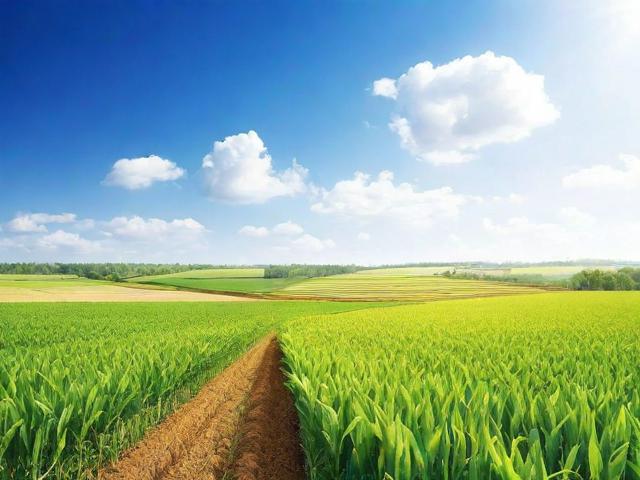 农业解决方案网站排名，揭秘农业领域网络平台的佼佼者