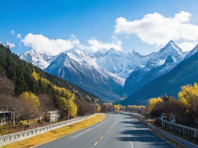 四川营销型网站排名，揭秘提升企业网络影响力的秘诀