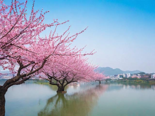 梅州网站优化售价排名，揭秘优化成本与效果背后的秘密