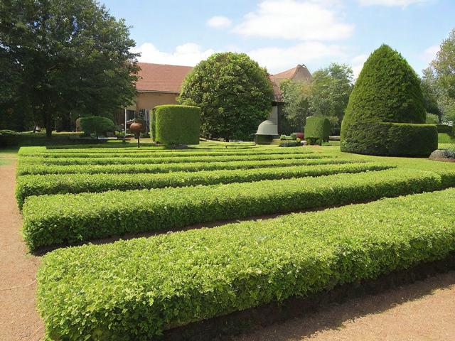 国外苗圃采购网站排名，全球园艺爱好者的在线天堂