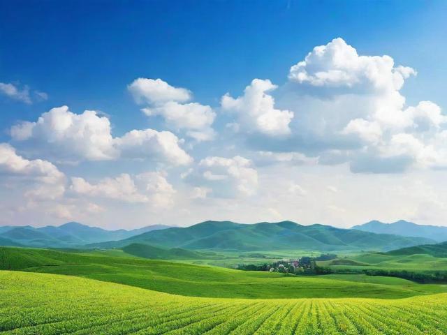 网站推广排名，揭秘我国领先的网站推广公司