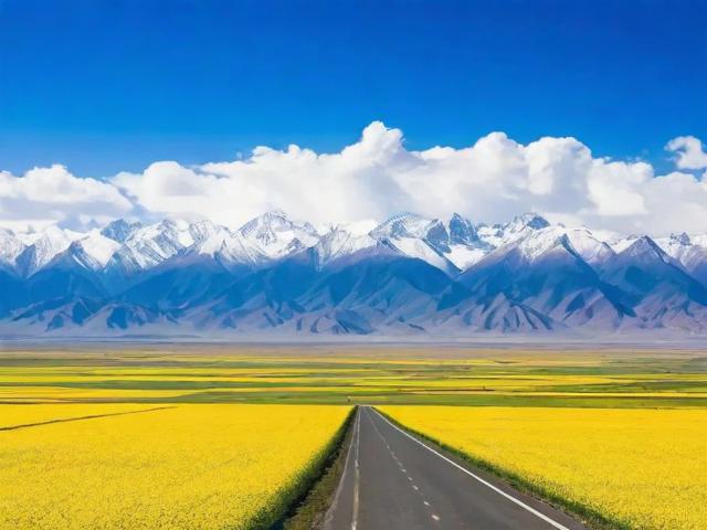 青海省网站建设行业盘点，排名前十的优秀服务商一览