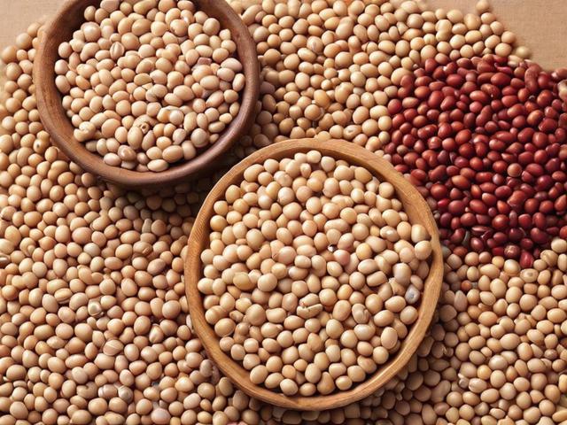 豆类食品厂家网站排名，揭秘行业佼佼者，助力消费者精准选择