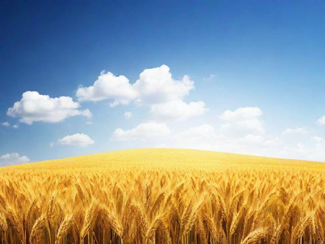 2023年H5网站开发公司排名，揭秘行业翘楚，助力企业数字化转型