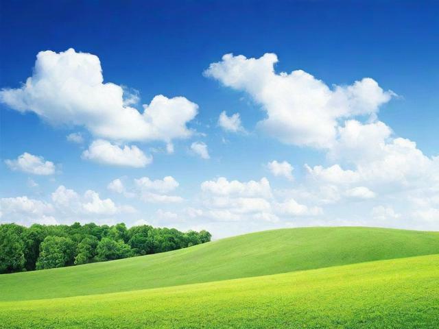 起名网站十大排名，专业起名平台助力姓名文化传承与创新