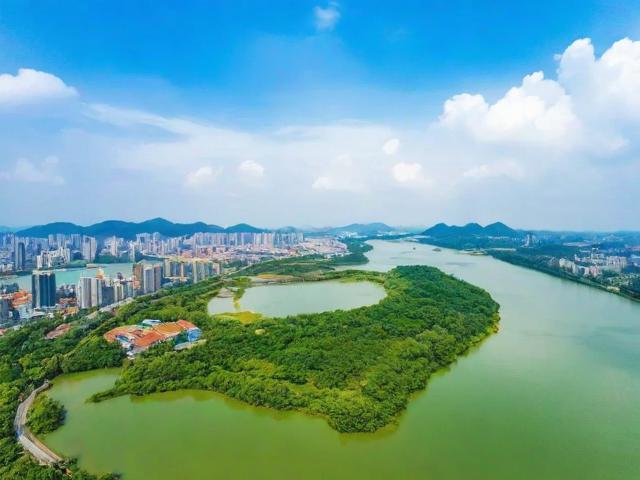 揭阳新网站如何优化排名，全方位攻略解析