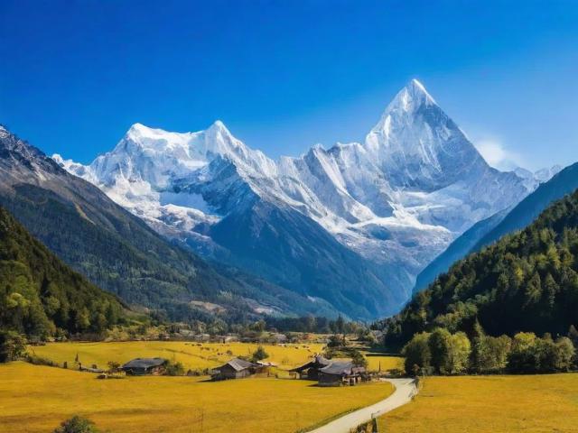 四川省网站推广排名软件，助力企业高效提升网络知名度