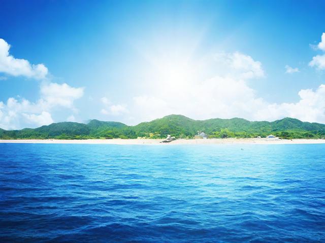 深入了解东海网站维护工作的重要性