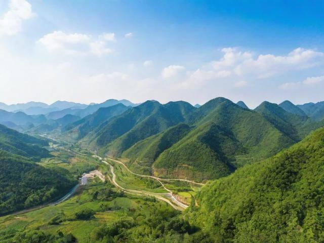 娄烦网站排名案例，从默默无闻到行业翘楚的蜕变之路