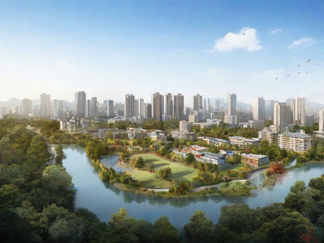 宜宾网站设计排名前十，打造视觉盛宴的本地设计力量