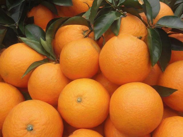 云南生鲜批发网站排名，为您揭开优质采购平台的神秘面纱