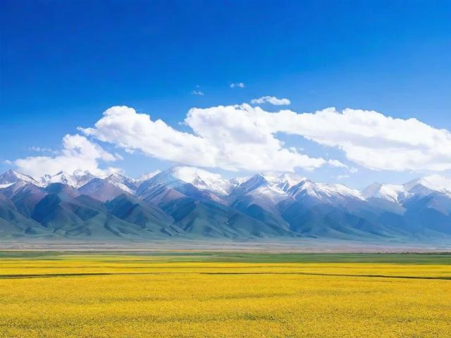 青海省网站建设排名公示，权威榜单揭晓，行业佼佼者脱颖而出