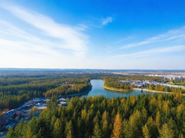 双鸭山网站维护价格一览表