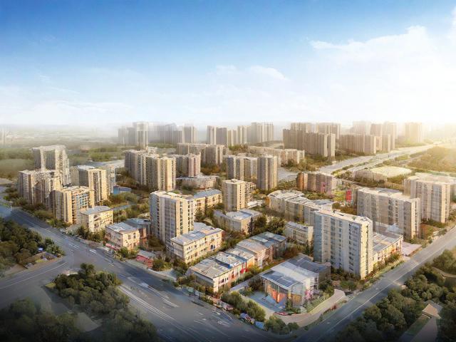 高陵区维护网站案例分享