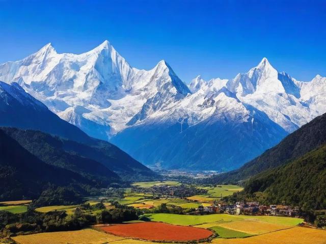 四川省所有网站排名，揭秘川内网站发展现状及趋势