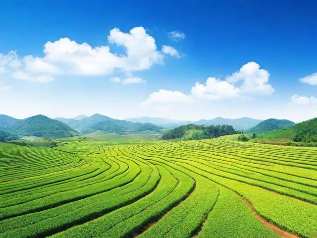 深度解析，如何提升开原网站关键词排名，抢占搜索引擎流量高地