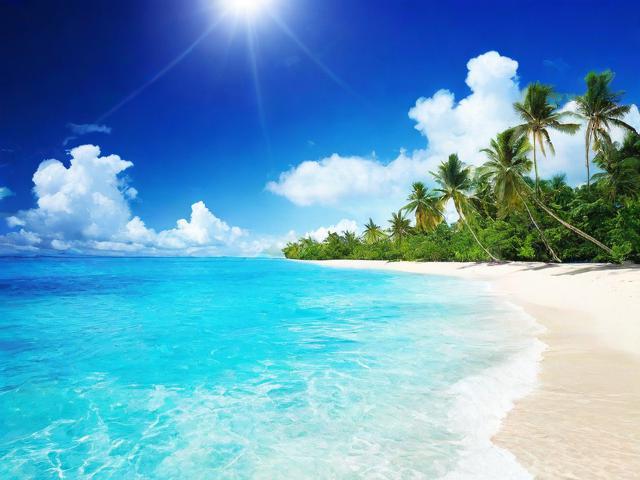 海南网站设计与维护，打造一流网络体验