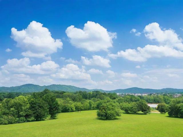 考研必看的十大网站排名，助你一臂之力，轻松备战考研