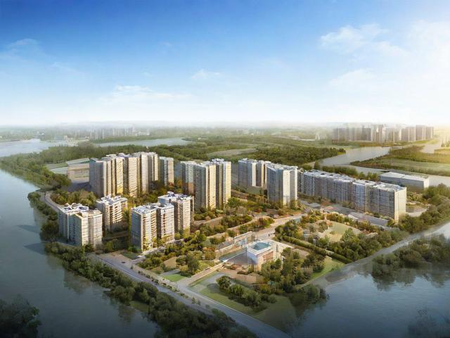 河口镇网站建设与维护指南