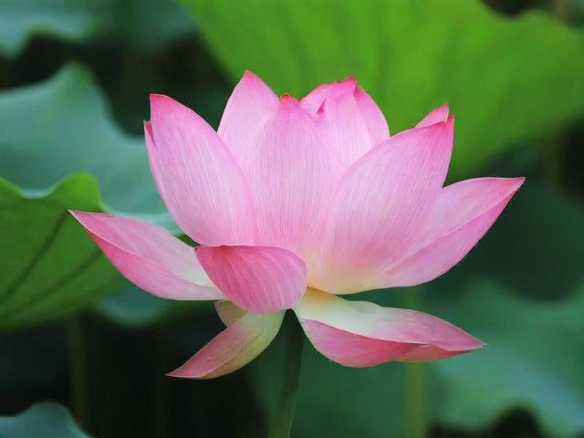 莲湖区优质网站维护公司的推荐