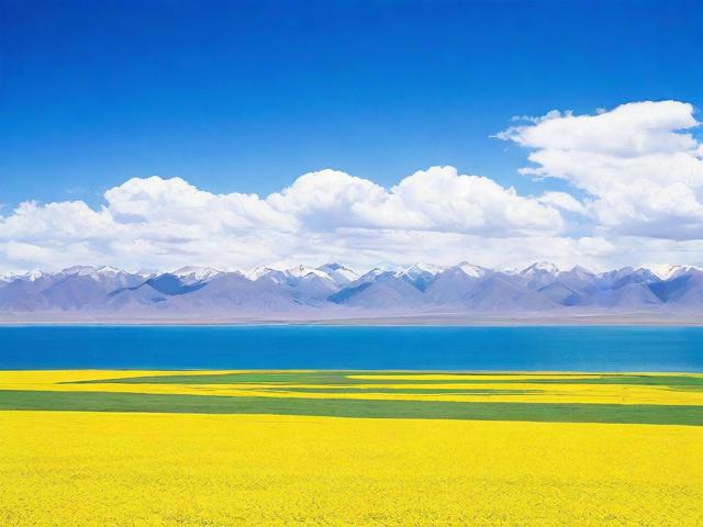 青海网站搜索优化排名，提升网站流量，抢占市场先机的关键策略